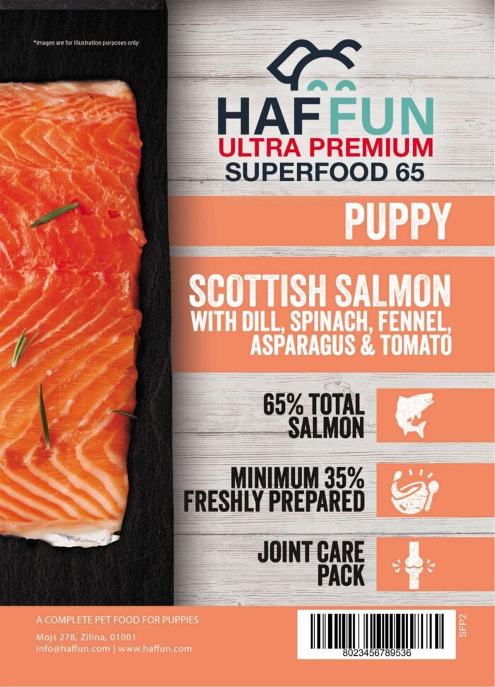 Puppy Active - Scottish Salmon